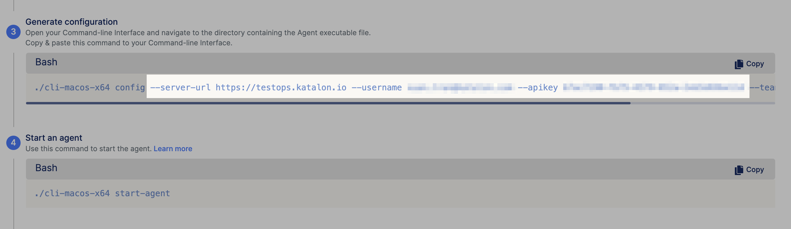 Agent Authentication